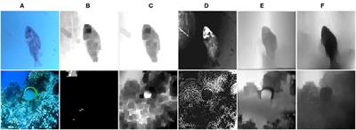 The Synthesis of Unpaired Underwater Images for Monocular Underwater Depth Prediction